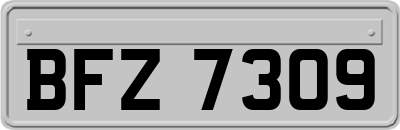 BFZ7309