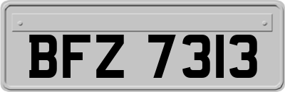 BFZ7313