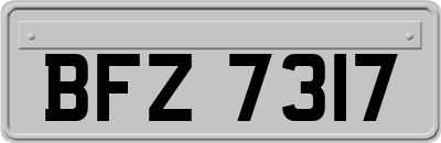 BFZ7317