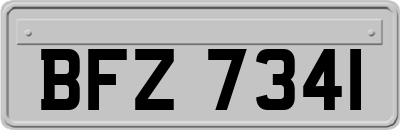 BFZ7341