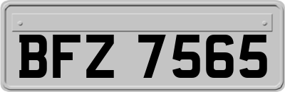 BFZ7565