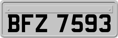 BFZ7593