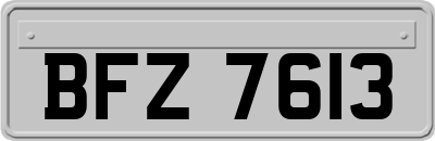 BFZ7613