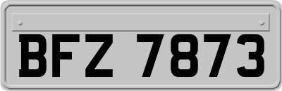 BFZ7873