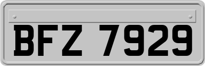 BFZ7929