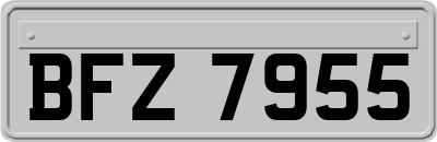 BFZ7955