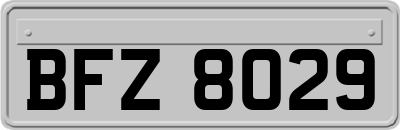 BFZ8029