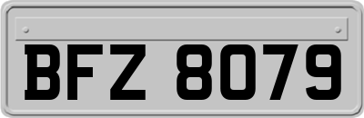 BFZ8079