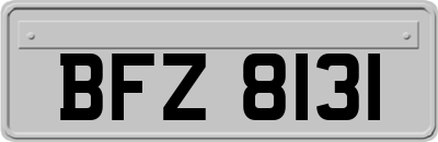 BFZ8131