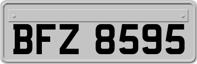 BFZ8595