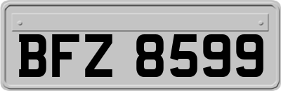 BFZ8599