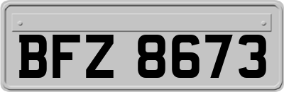 BFZ8673