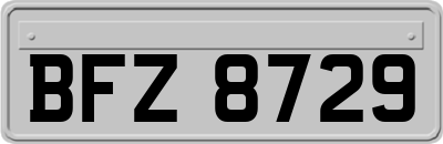 BFZ8729