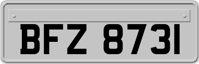 BFZ8731