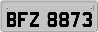 BFZ8873