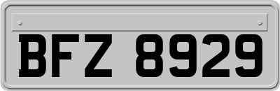 BFZ8929