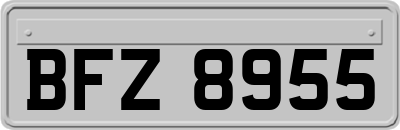 BFZ8955