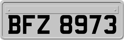 BFZ8973