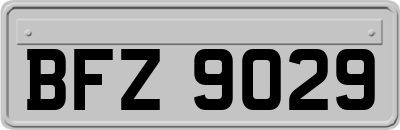 BFZ9029