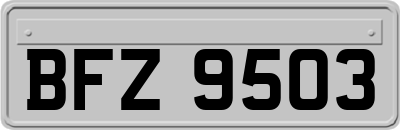 BFZ9503