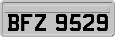 BFZ9529