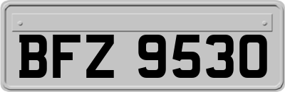 BFZ9530