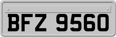 BFZ9560