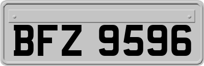 BFZ9596