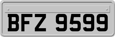 BFZ9599