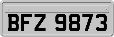 BFZ9873