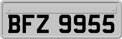 BFZ9955