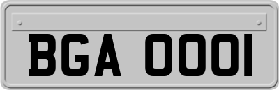 BGA0001
