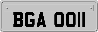 BGA0011