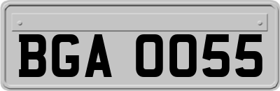 BGA0055