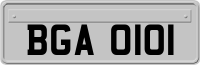 BGA0101