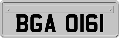 BGA0161