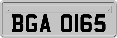 BGA0165