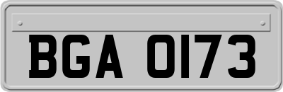 BGA0173