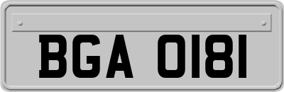 BGA0181