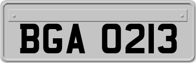 BGA0213