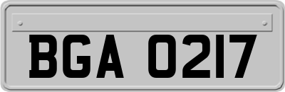 BGA0217
