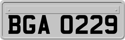 BGA0229