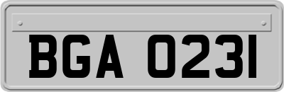 BGA0231