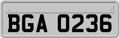 BGA0236