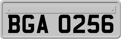 BGA0256
