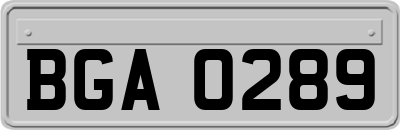 BGA0289