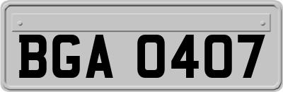 BGA0407