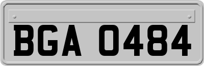 BGA0484