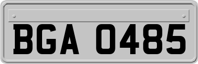 BGA0485