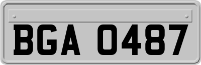 BGA0487